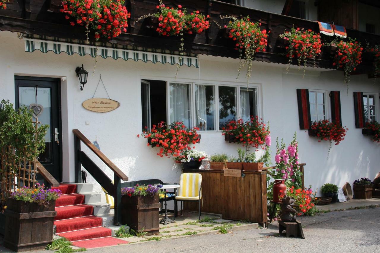 Haus Mauken - Appartments Mit Panoramablick Murau Exterior photo