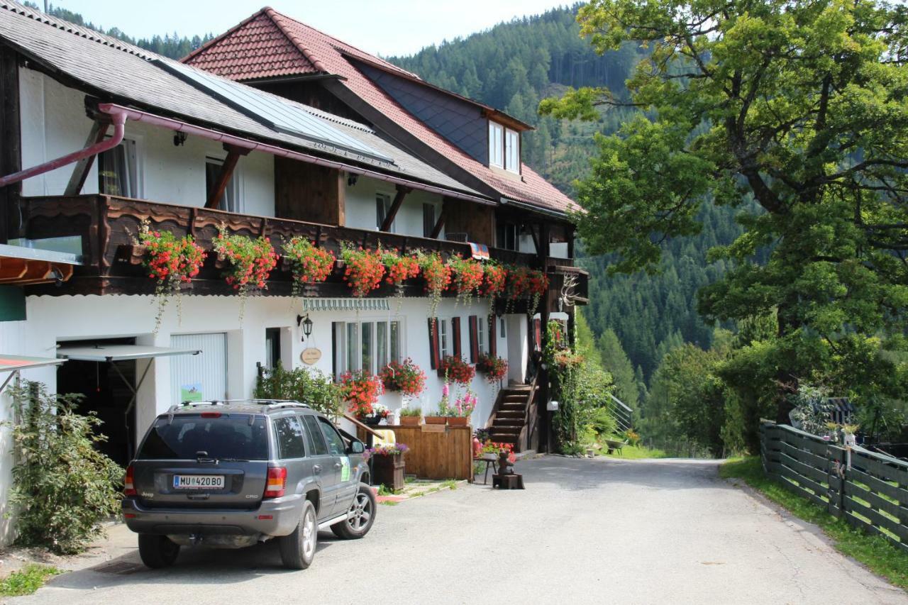 Haus Mauken - Appartments Mit Panoramablick Murau Exterior photo